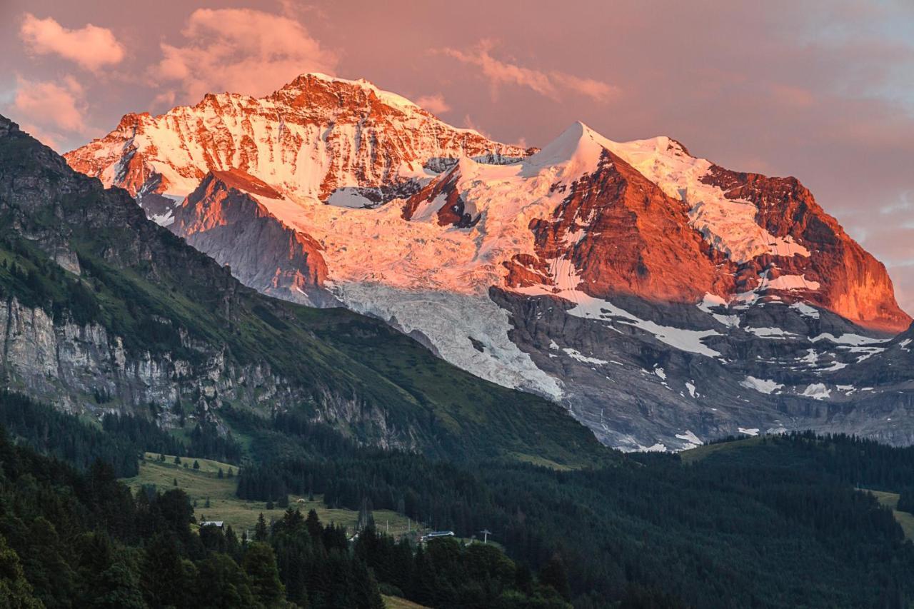 Hotel Berghaus Wengen Bagian luar foto