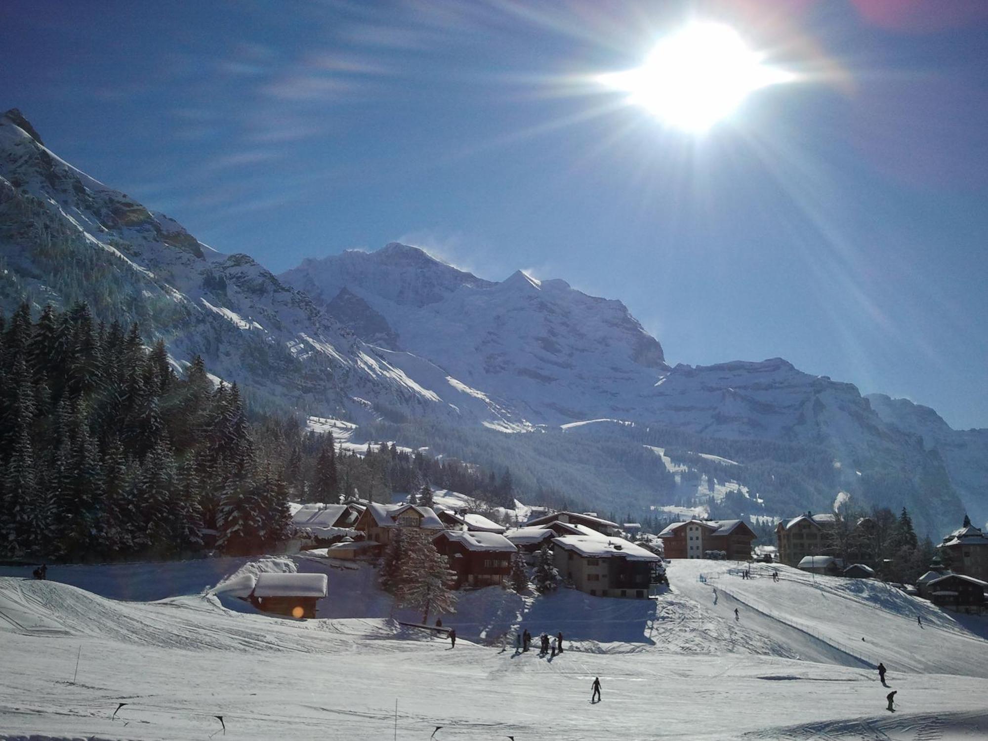 Hotel Berghaus Wengen Bagian luar foto