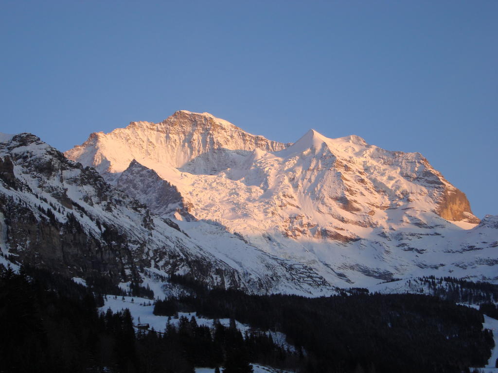 Hotel Berghaus Wengen Bagian luar foto